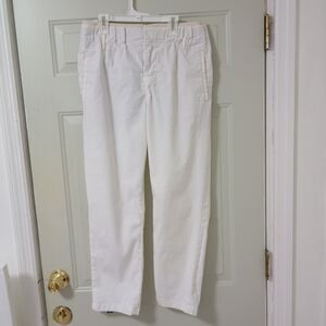 DRYKORN Job Pants Womens Sz 30-34 Beige Slacks Trouser Pleated Linen Blend